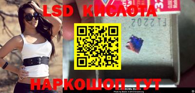 винт Новозыбков