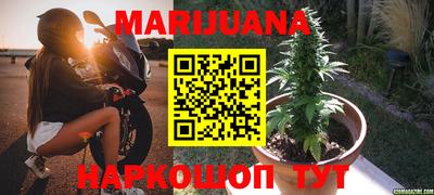 шишки Новокубанск