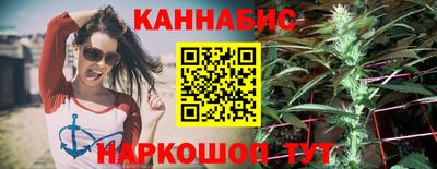 шишки Новокубанск