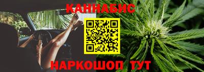 винт Новозыбков