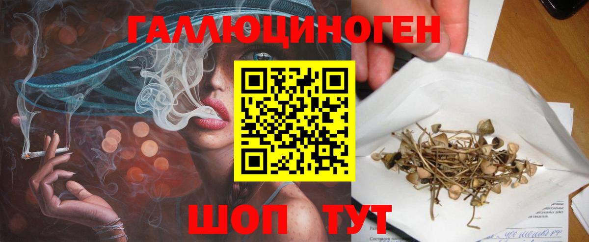 Псилоцибиновые грибы Cubensis Мытищи